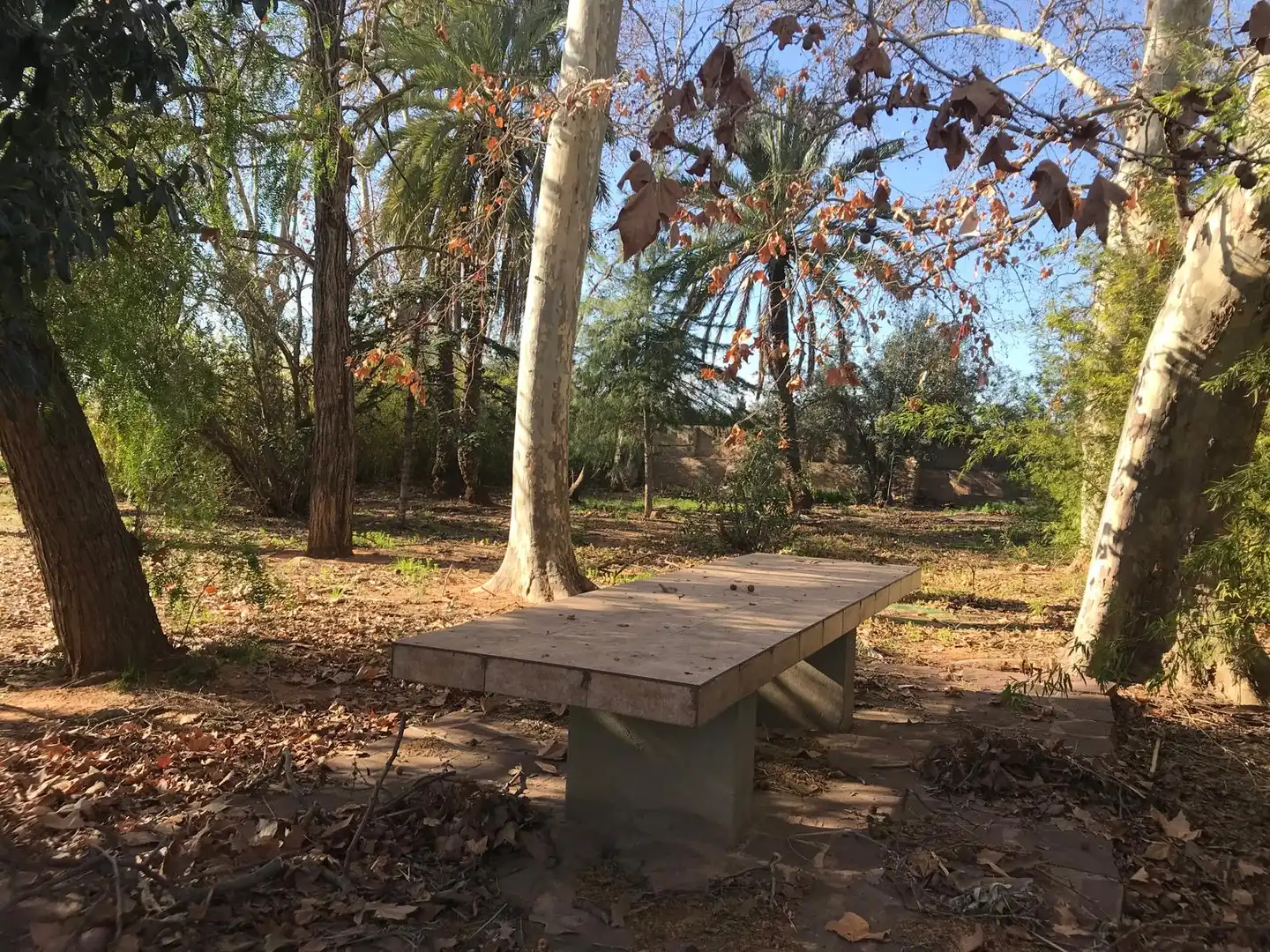 Jardí de Finca rústica en venda en Benifaió amb Jardí privat, Terrassa i Traster