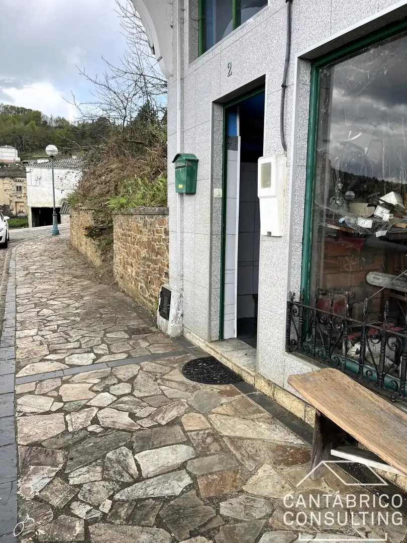 Vista exterior de Casa adosada en venta en San Martín de Oscos con Terraza