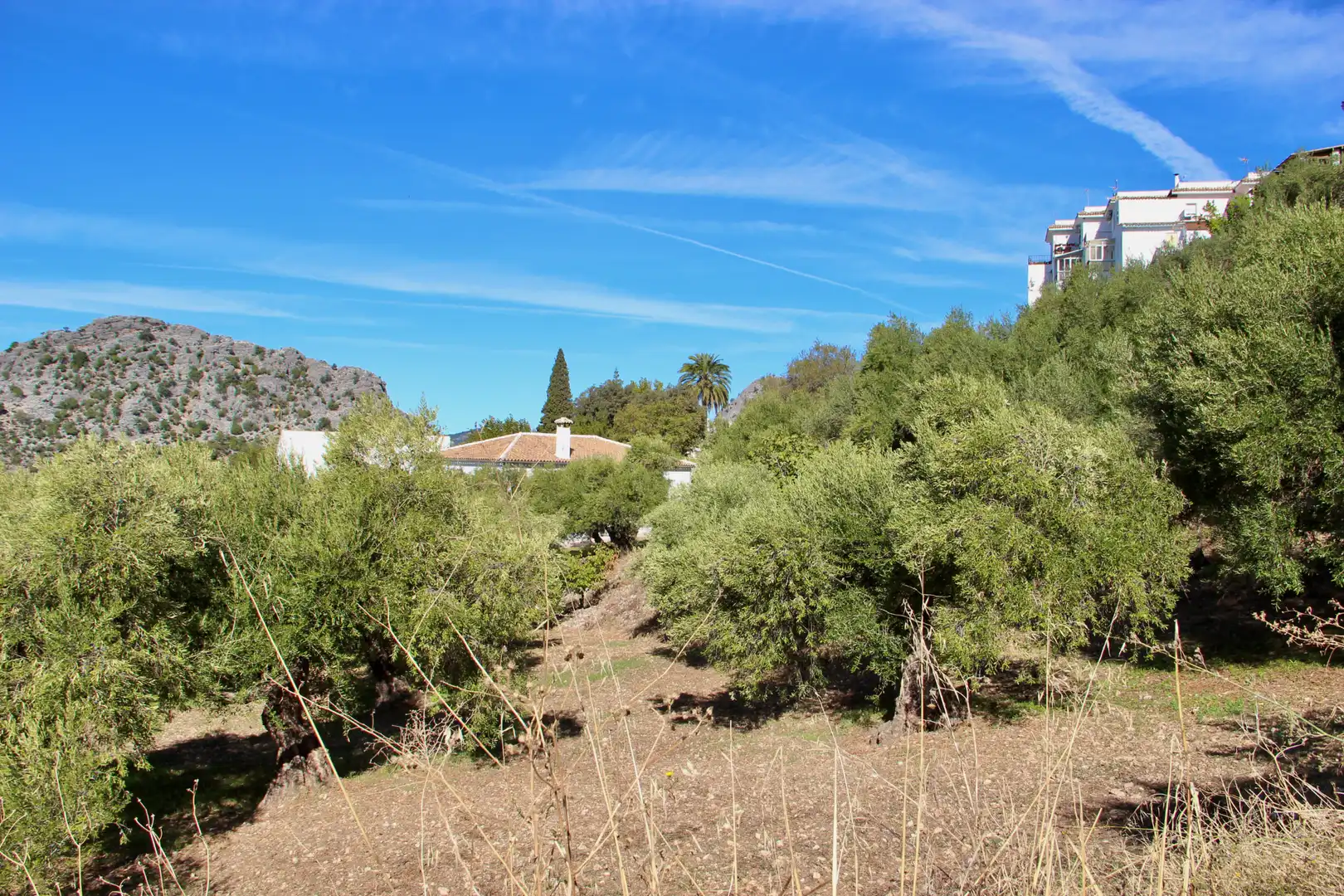 Casa o xalet en venda en Benaocaz amb Jardí privat, Terrassa i Traster