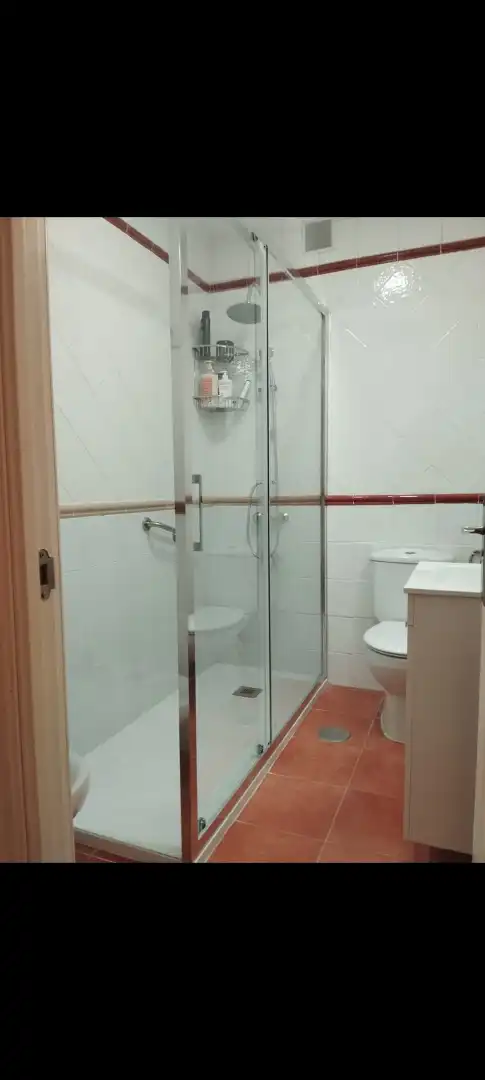 Baño de Piso de alquiler en Málaga con Terraza, Amueblado y Horno