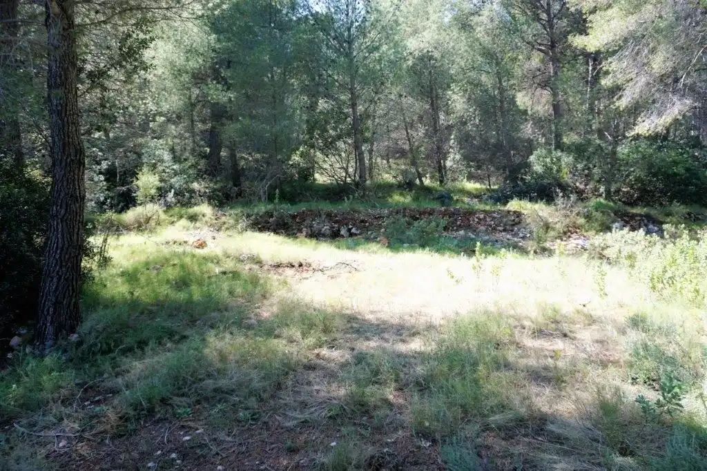 Terreny residencial en venda a Callosa d'en Sarrià, imagen 27