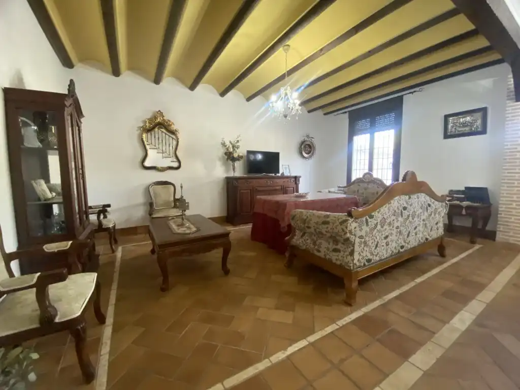 Sala de estar de Casa o chalet en venta en La Rambla con Terraza