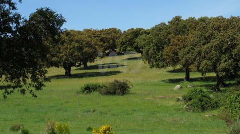 Foto 3 de Residencial en venda a Ledesma, Salamanca