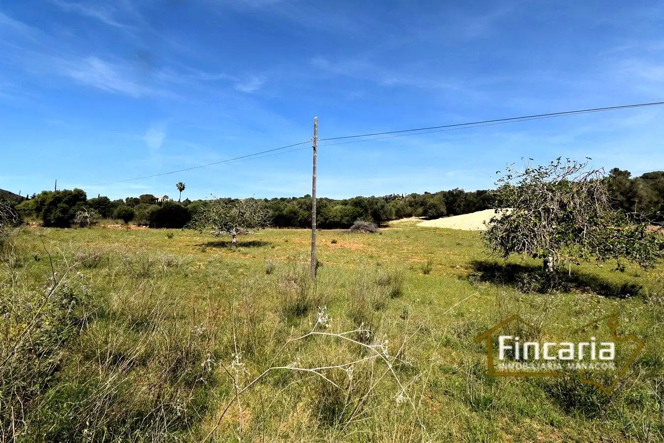 Rural land for sale in De La Torre Nova, imagen 13