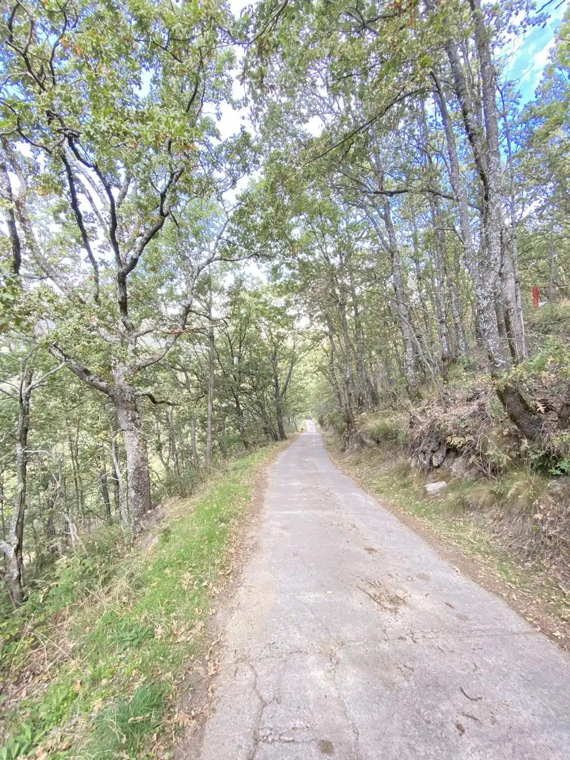 Terreno en venta en Tornavacas