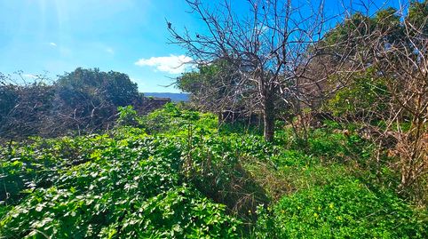 Foto 5 de Casa o chalet en venta en Calle Doctor Rodríguez Domínguez, 8, Cañaveral de León, Huelva