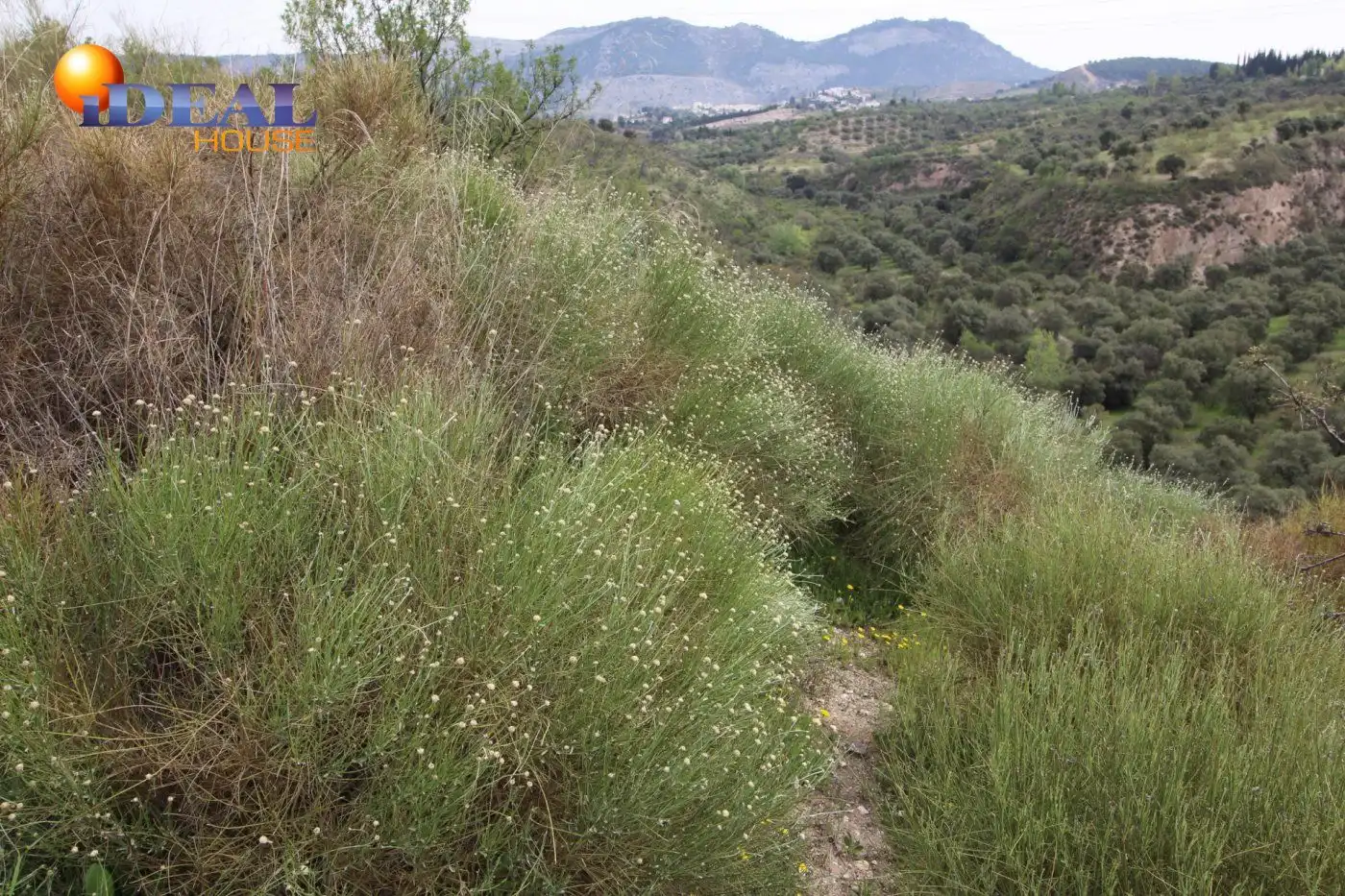Country homes for sale in Víznar