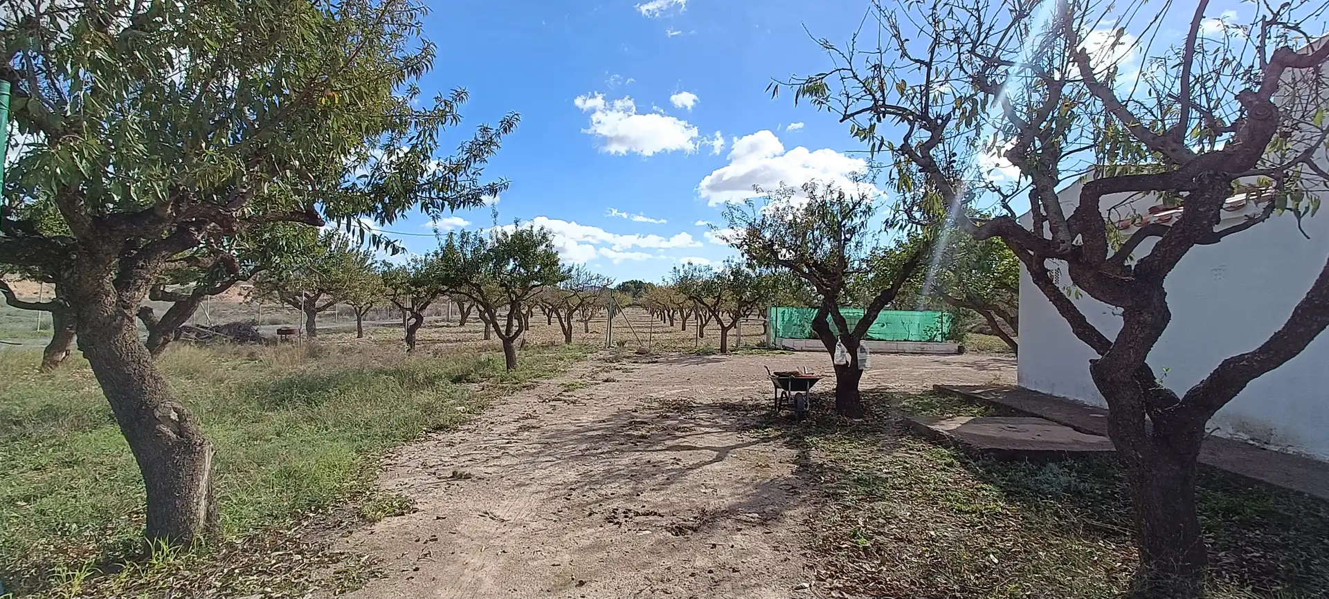 Casa o xalet en venda en Almansa amb Jardí privat
