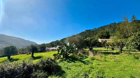 Foto 5 de Finca rústica en venda a Carrer Pere Seriol, 5, Andratx pueblo, Andratx