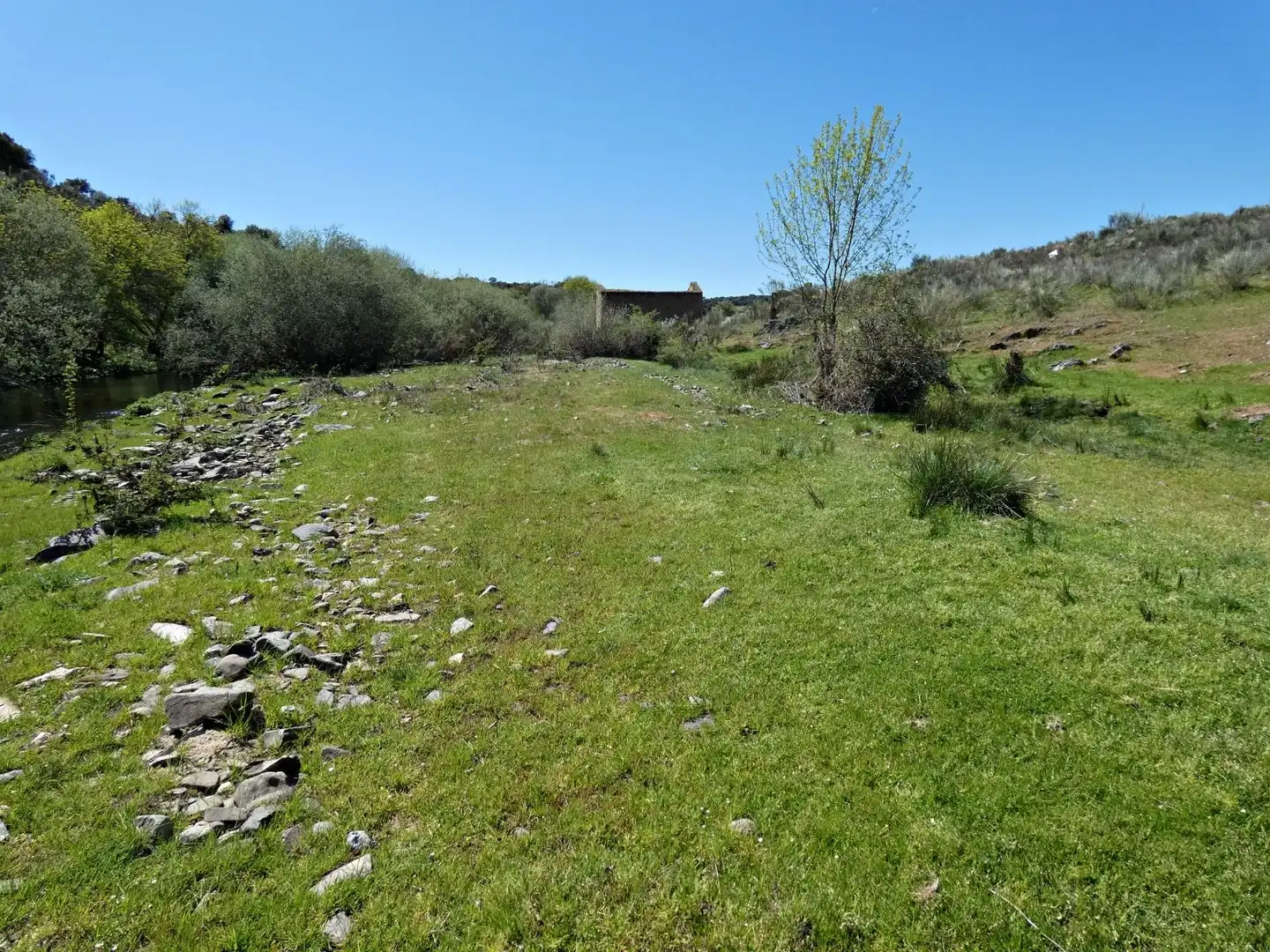 Terreny en venda en Gallegos de Argañán