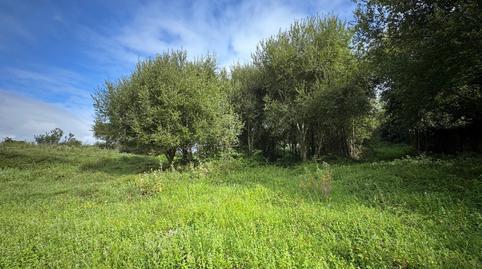 Foto 3 de Finca rústica en venda a Barrio Gajano-piñiro, Marina de Cudeyo, Cantabria
