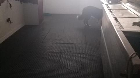 Photo 4 of Premises for sale in N/a, -1, La Cogullada, Terrassa