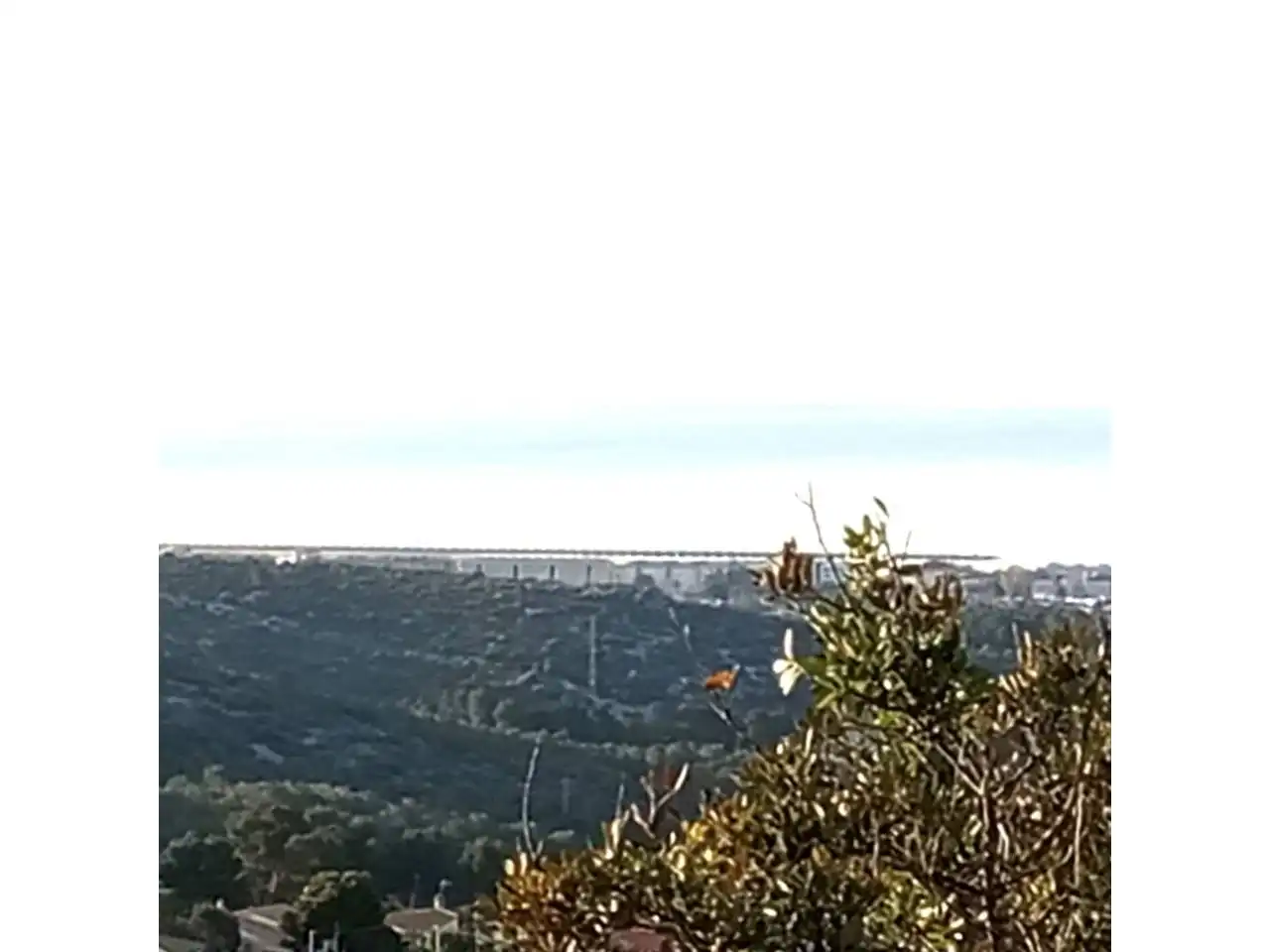 Terreny residencial en venda a Calle Tulipa, imagen 9