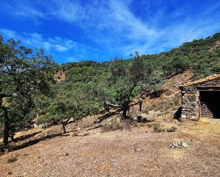 Land for sale in Alájar
