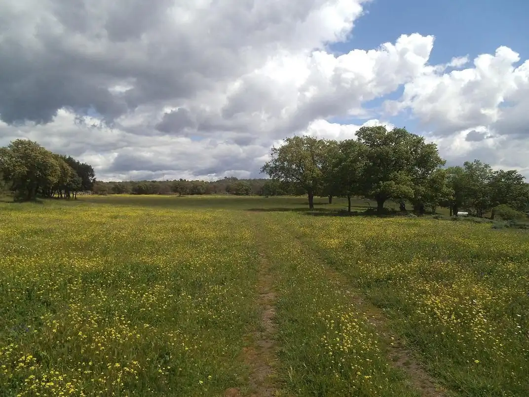 Residencial en venda en Valdemorillo