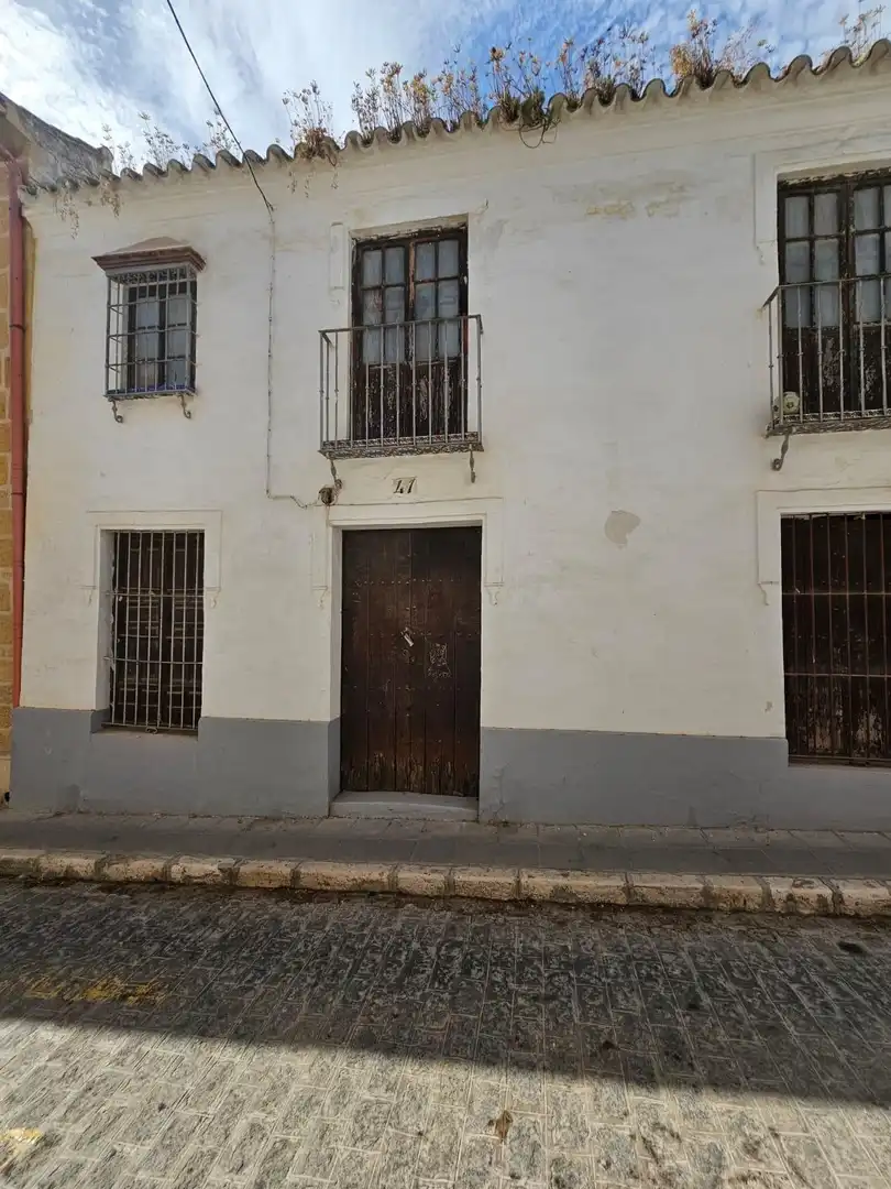 Exterior view of Houses for sale in Osuna