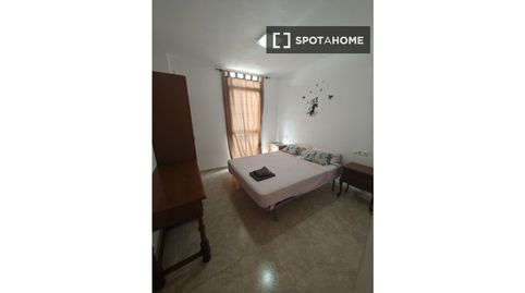 Foto 4 de Habitació a El Altet, Elche / Elx