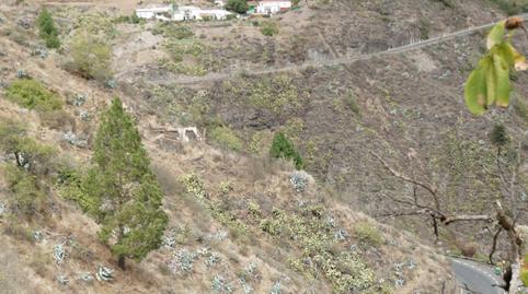 Photo 4 of Country house for sale in  Polígono 11 Paraje 129 Estanco, Vega de San Mateo, Las Palmas