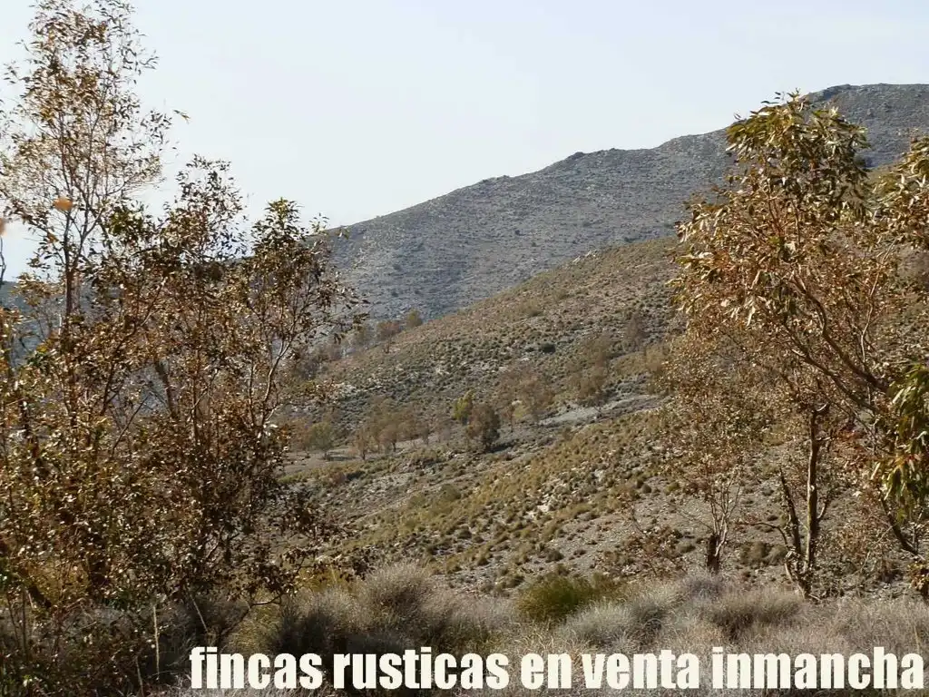 Terreny rústic en venda a Pechina, imagen 2