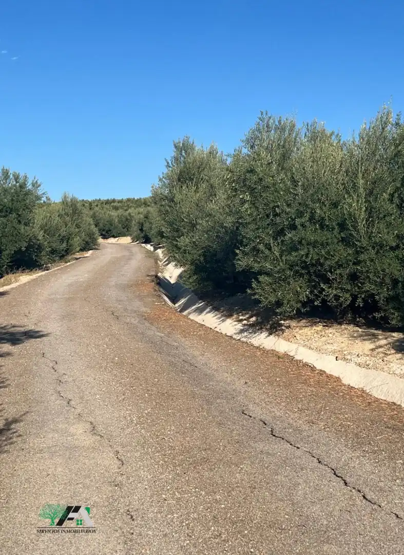 Terreno industrial en venta en Úbeda, imagen 8