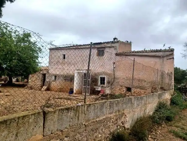 Rural land for sale in Felanitx Poble, imagen 3
