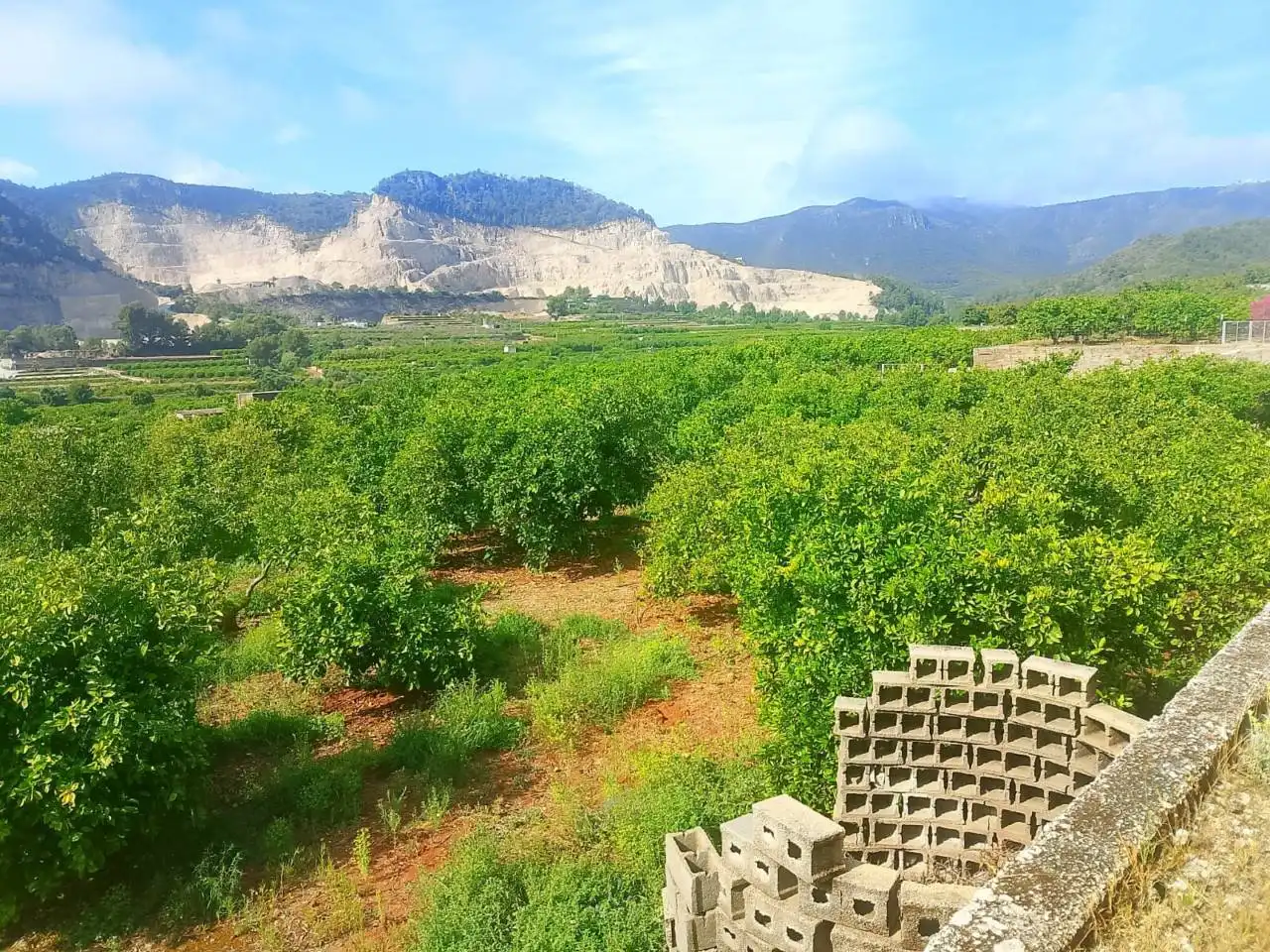 Land for sale in L'Atzúbia