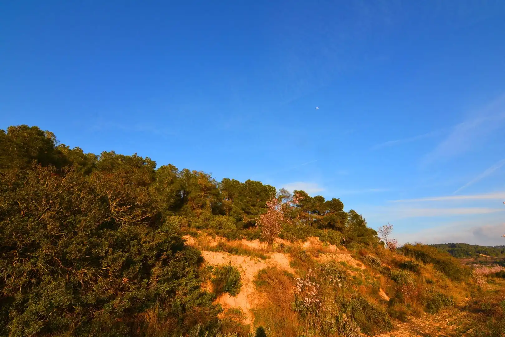Rural land for sale in Corbera d'Ebre, imagen 67