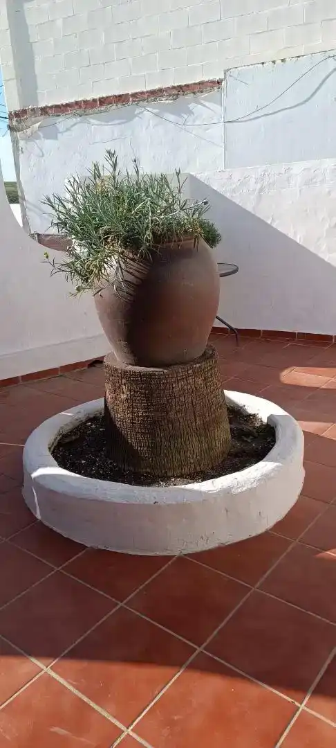 Jardín de Casa o chalet en venta en Tarifa con Aire acondicionado, Jardín privado y Trastero