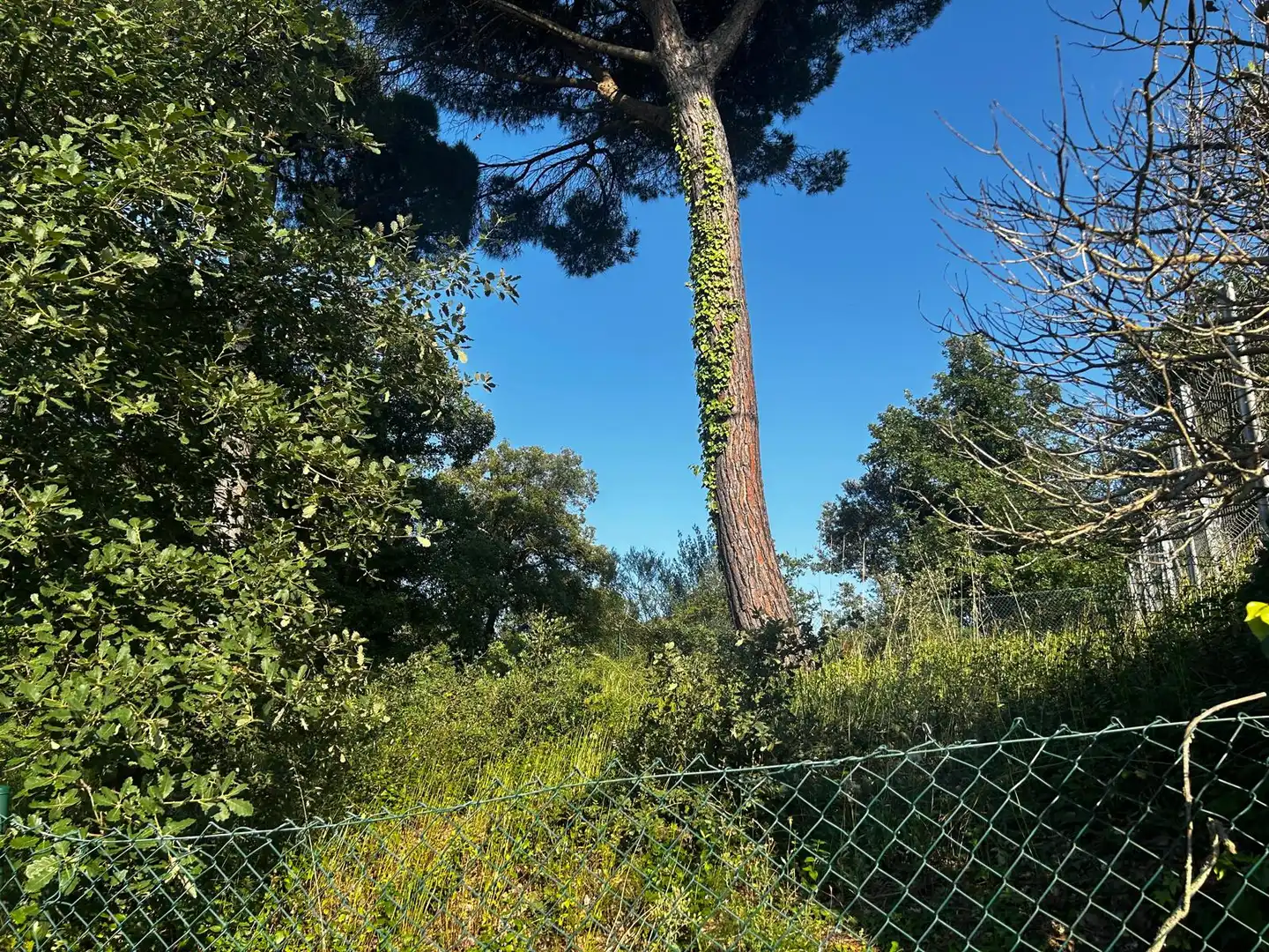 Residential land for sale in Residencial Park, imagen 14