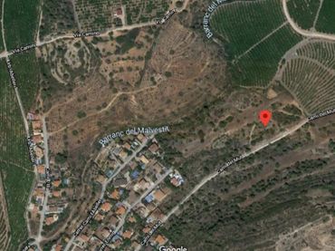 Terreny rústic en venda a Camí l'Abeller 148