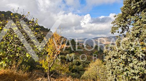 Foto 5 de Finca rústica en venda a Alegría de la Huerta- Jardín de Málaga, Málaga Capital