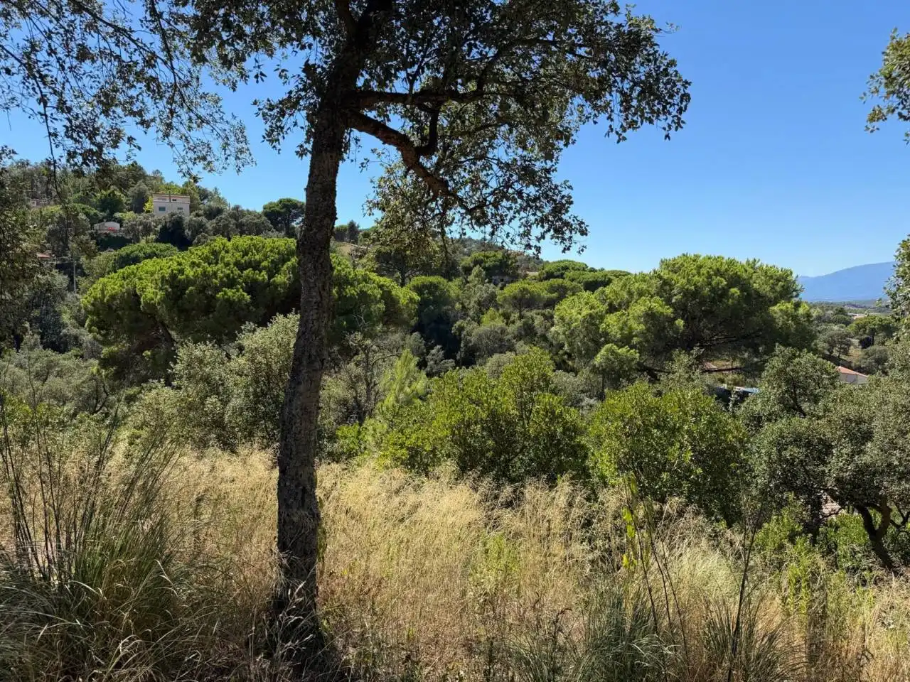 Wohnbaugrundstück zum Verkauf in Calle Sant Nicolàs, imagen 7