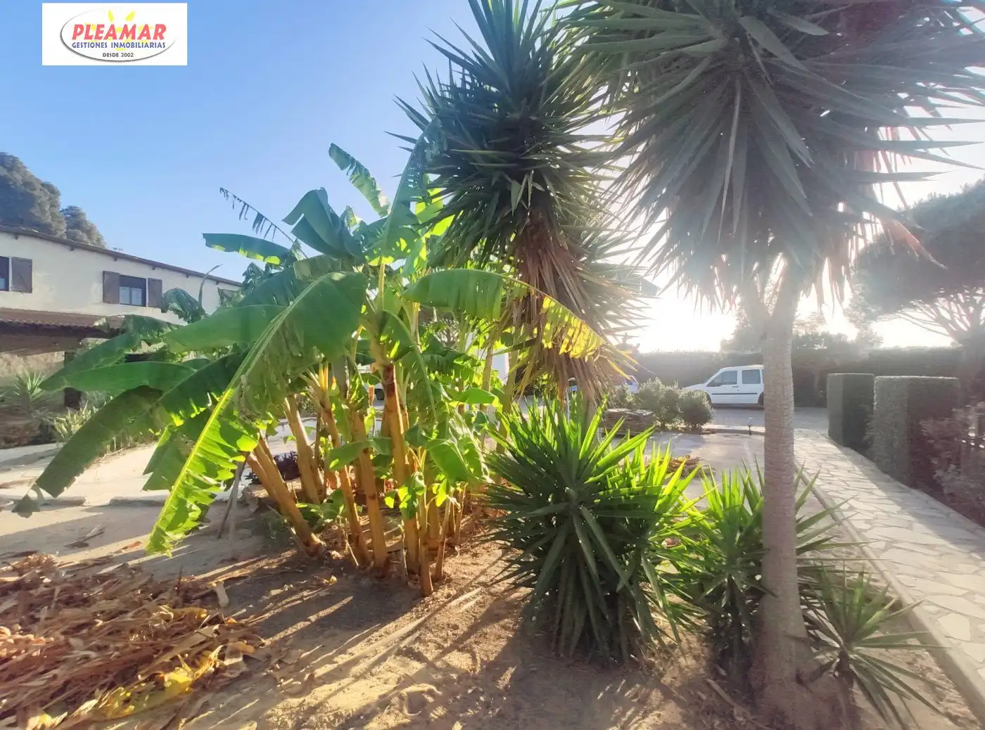 Casa rústica amb piscina en venda a Las Tres Piedras - Costa Ballena, imagen 36