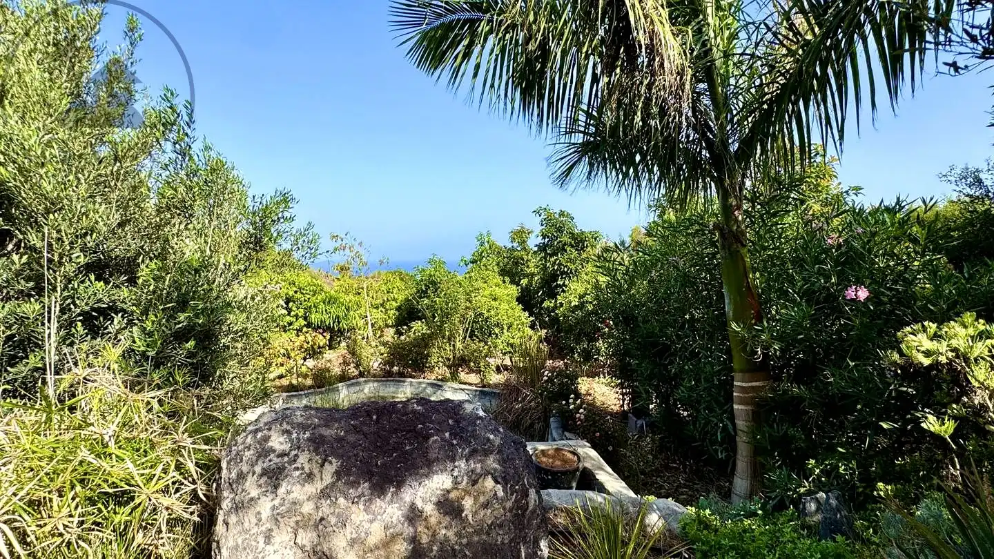 Vista exterior de Finca rústica en venda en Buenavista del Norte amb Jardí privat i Terrassa