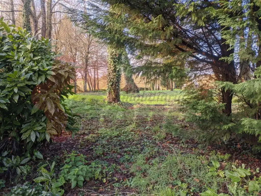 Finca rústica en venta en Parroquias del Este
