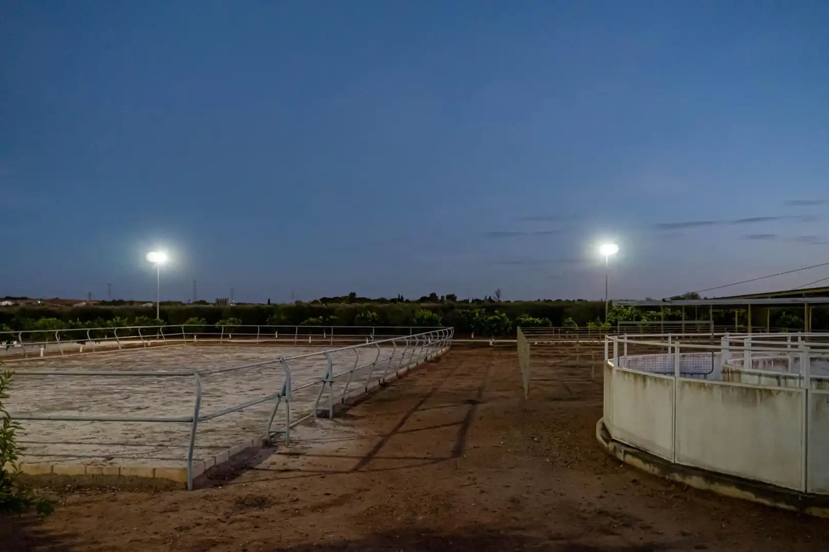 Vista exterior de Finca rústica en venta en Carmona con Calefacción, Jardín privado y Terraza