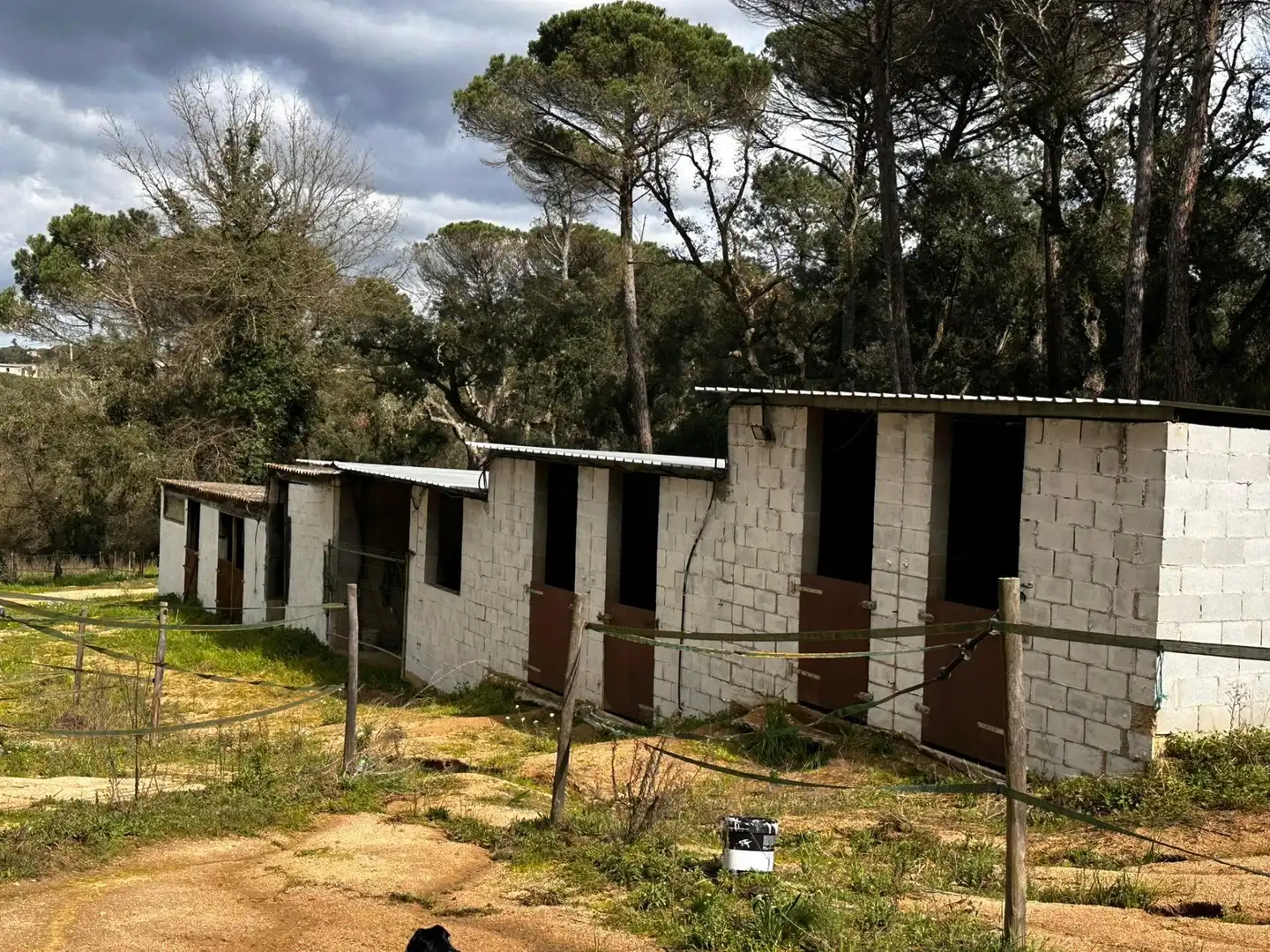 Vista exterior de Finca rústica en venta en Maçanet de la Selva con Calefacción, Jardín privado y Terraza