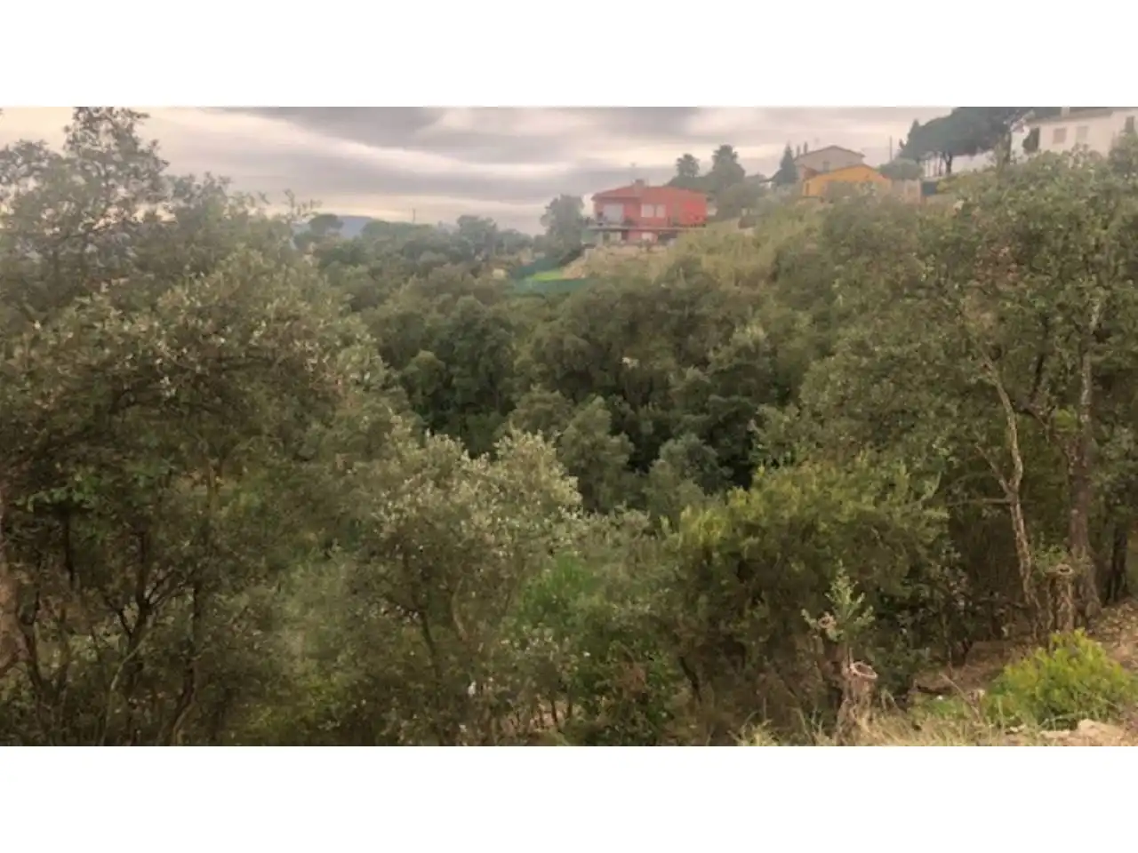 Terreno rústico en venta en ESPIGOL, imagen 13