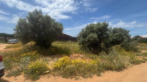 Photo 4 of Residential for sale in El Palmar, Vejer de la Frontera