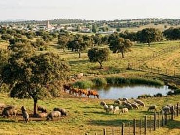 Terreno rustico in vendita a Trujillo