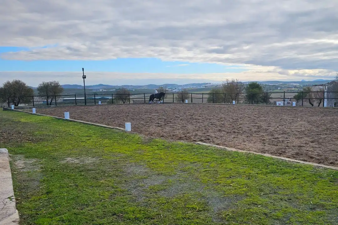 Terreno rustico in vendita a Nervión, imagen 21