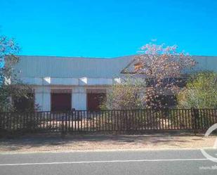 Industrial buildings for sale in Noez