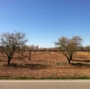 Rustikales Grundstück zum Verkauf in Avenida Avenida Mariana Pineda, imagen 6