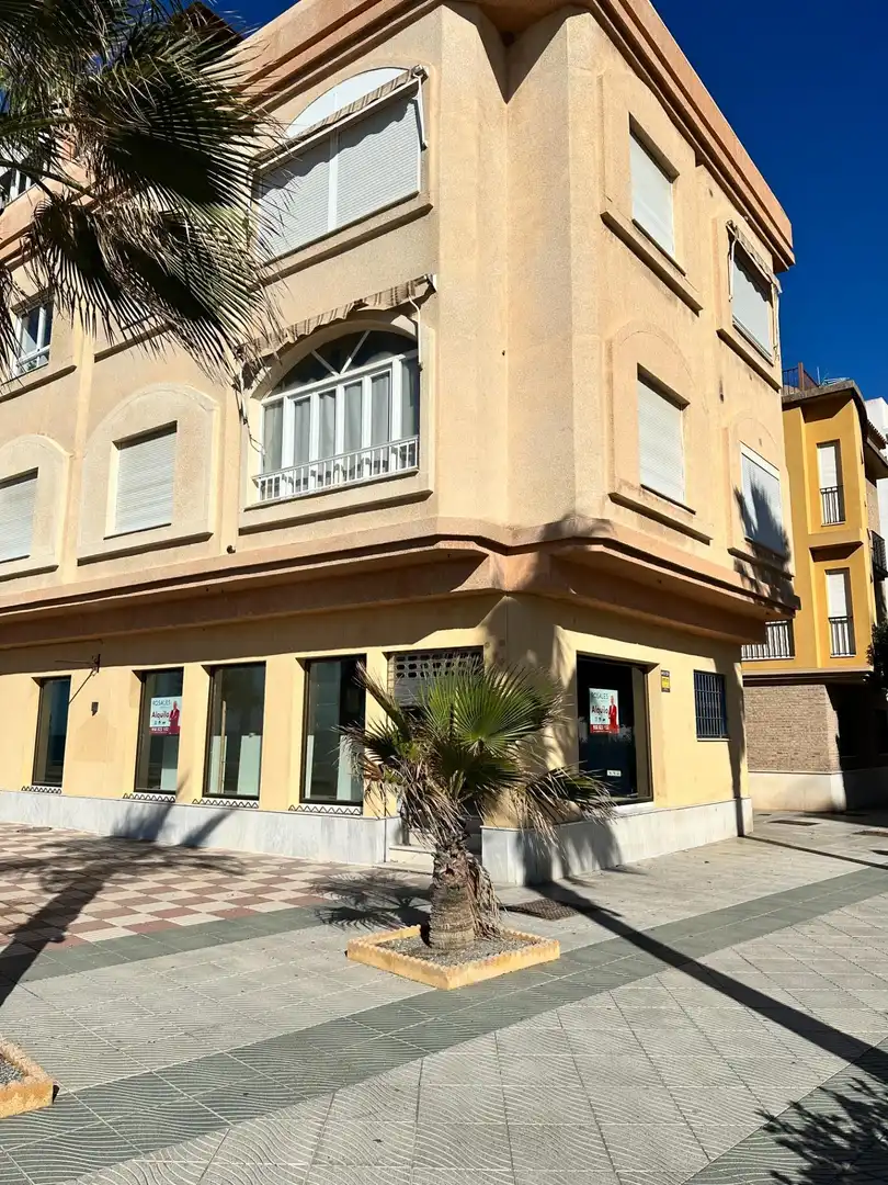 Vista exterior de Local de alquiler en Torrenueva Costa