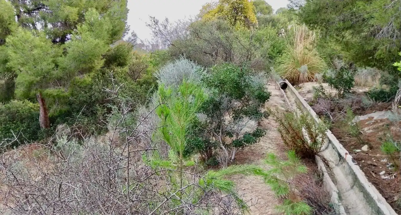 Terreno rustico in vendita a Platja de Torres, imagen 18