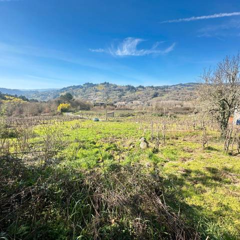 Terreno residencial en Venta en Lugar Cuñas, 55 en Cenlle