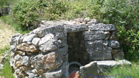 CullaFinca Rustica, image 3