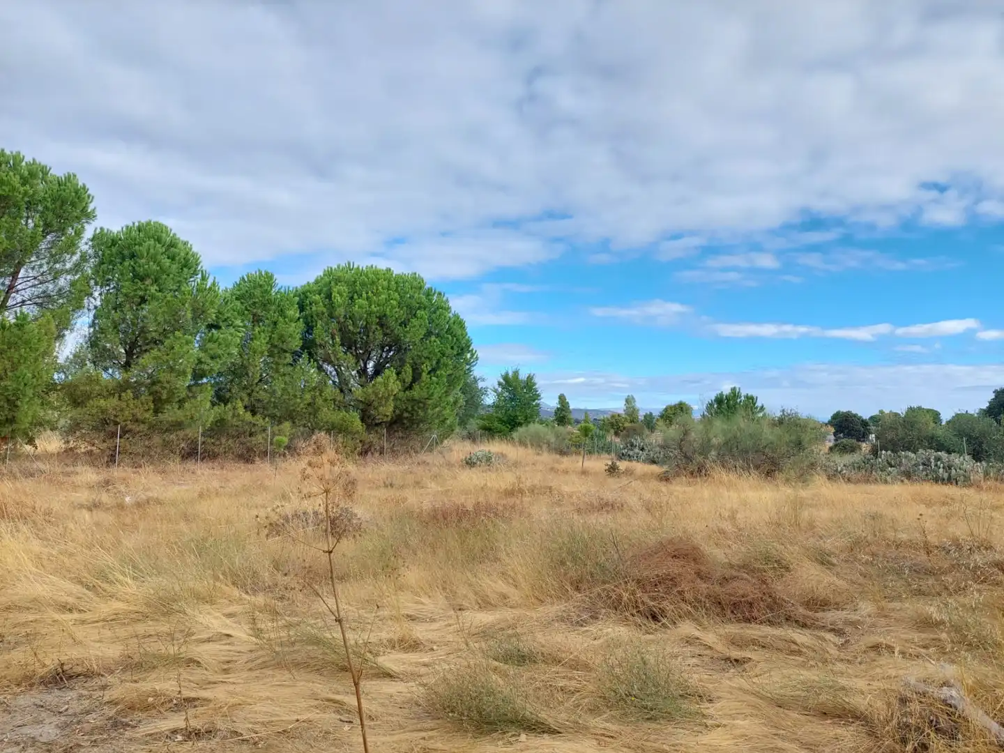 Terreni e lotti in vendita a Santa Cruz del Retamar pueblo, imagen 16