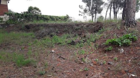 TERRENO EN CAN RIAL, imatge 4