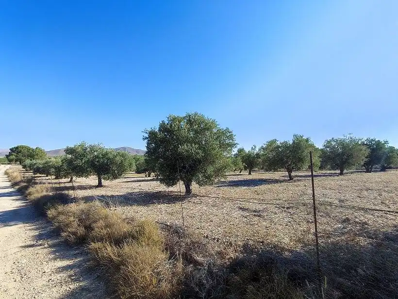 Finca rústica en venda en Tobarra amb Jardí privat, Terrassa i Traster